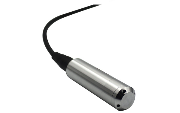 Sonde de niveau immergée inox AKCP TDPS pour cuve de fioul ou d'eau Sonde de niveau immergée inox AKCP TDPS pour cuve de fioul ou d'eau