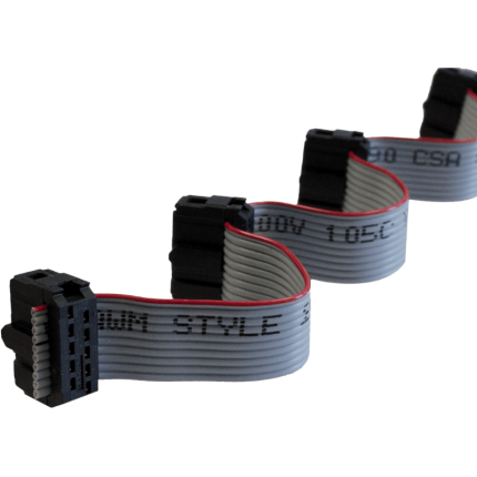 Câble d'extension nappe ControlByWEB EXPCBL avec connecteurs 2 x 5 points polarisés