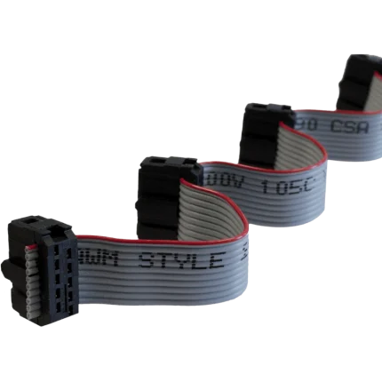 Câble d'extension nappe ControlByWEB EXPCBL avec connecteurs 2 x 5 points polarisés
