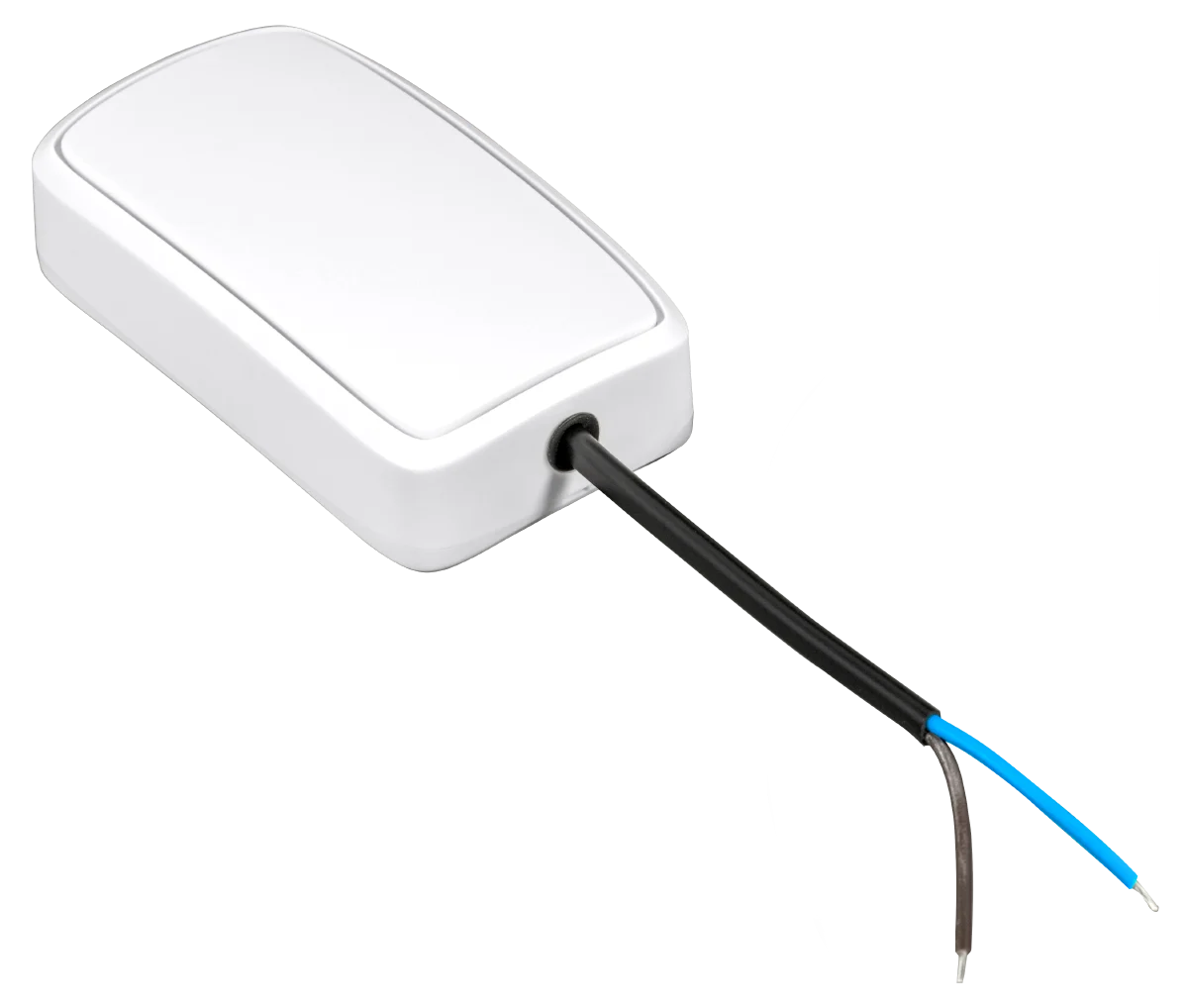 Enregistreur d'entrée binaire NB-IoT Efento, boîtier blanc avec câble deux fils